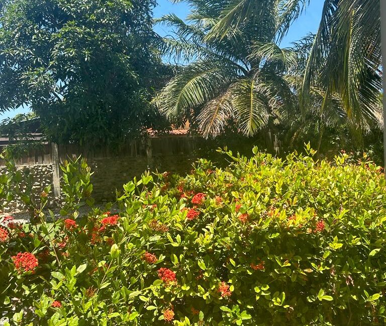 Siribana-20-16-768×650